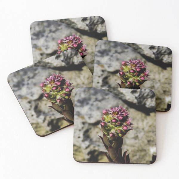 Item preview, Cluster of Reds designed and sold by SRosuphotos.