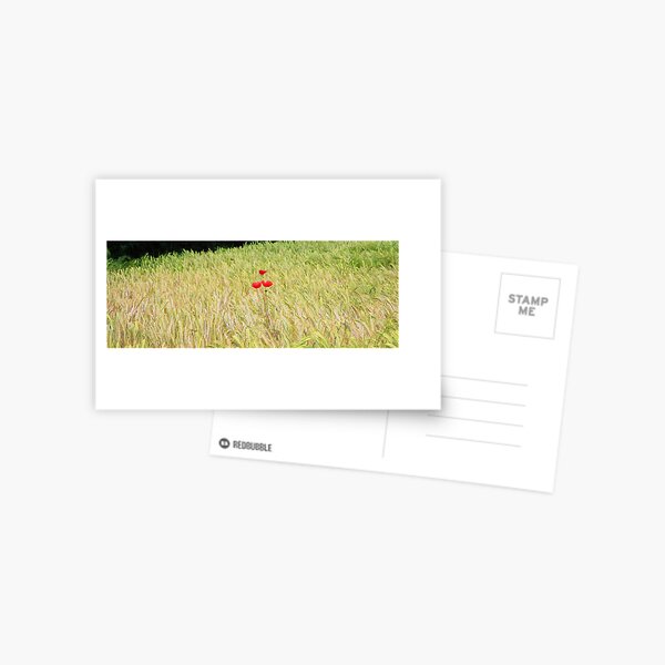 www.lizgarnett.com - July 01 Postcard