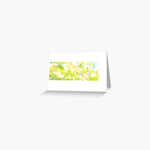 www.lizgarnett.com - Aug 02 Greeting Card