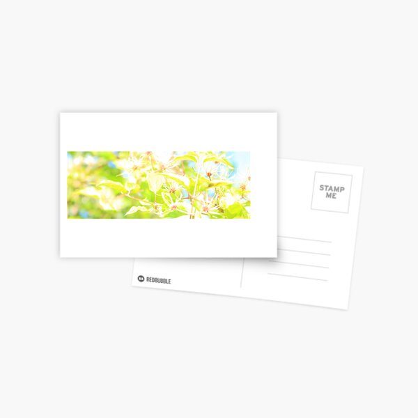 www.lizgarnett.com - Aug 02 Postcard