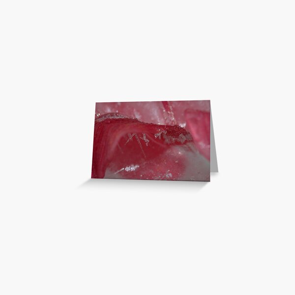 Ice haven Greeting Card