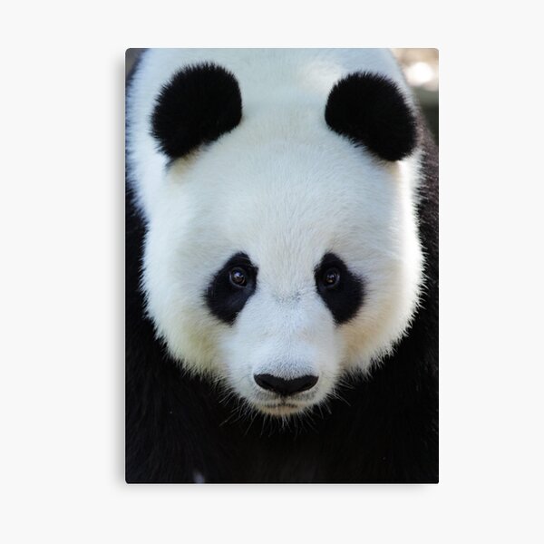 Item preview, What a face! designed and sold by browna.