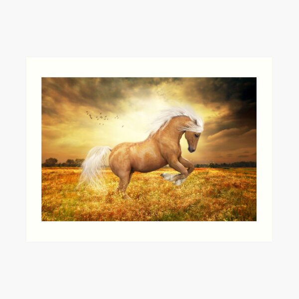 Palomino Art Prints Redbubble