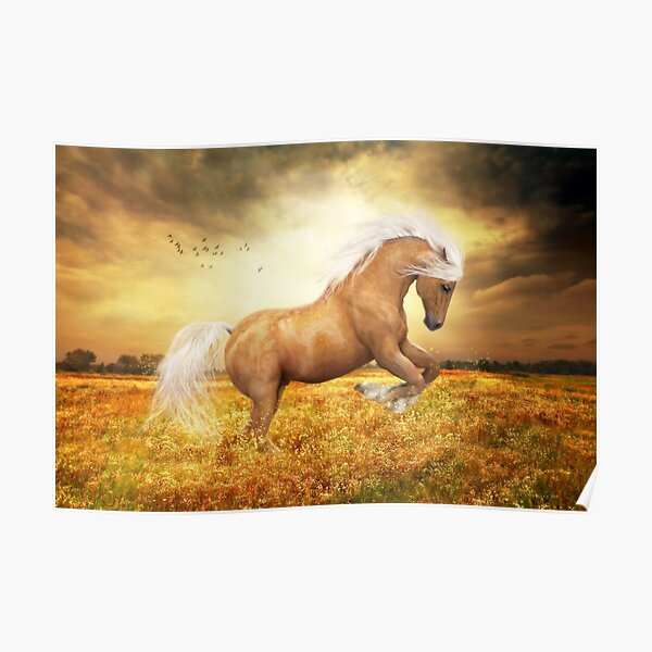 Palomino Horse Sundance Poster