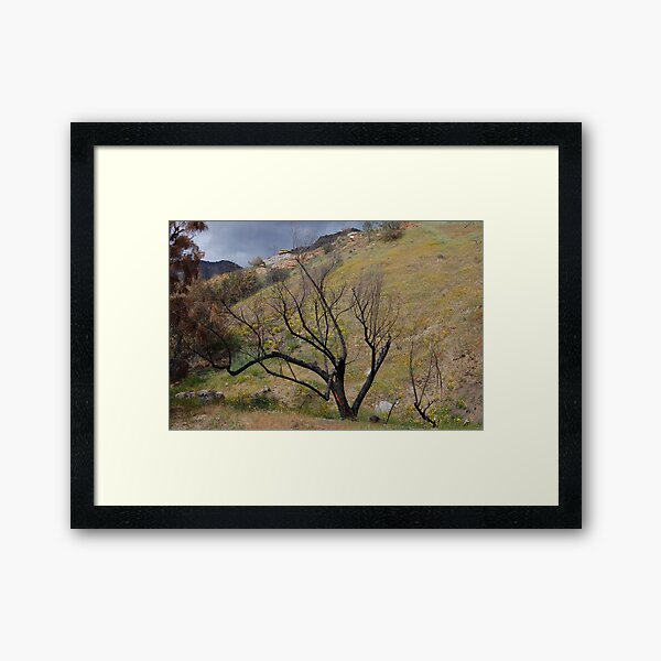 Item preview, a hillside in Cali designed and sold by Amanda Huggins.