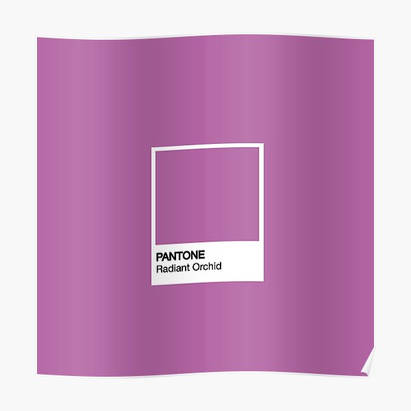 PANTONE Radiant Orchid Poster For Sale By Joaovictorprado Redbubble   Poster,504x498,f8f8f8 Pad,600x600,f8f8f8.u4 