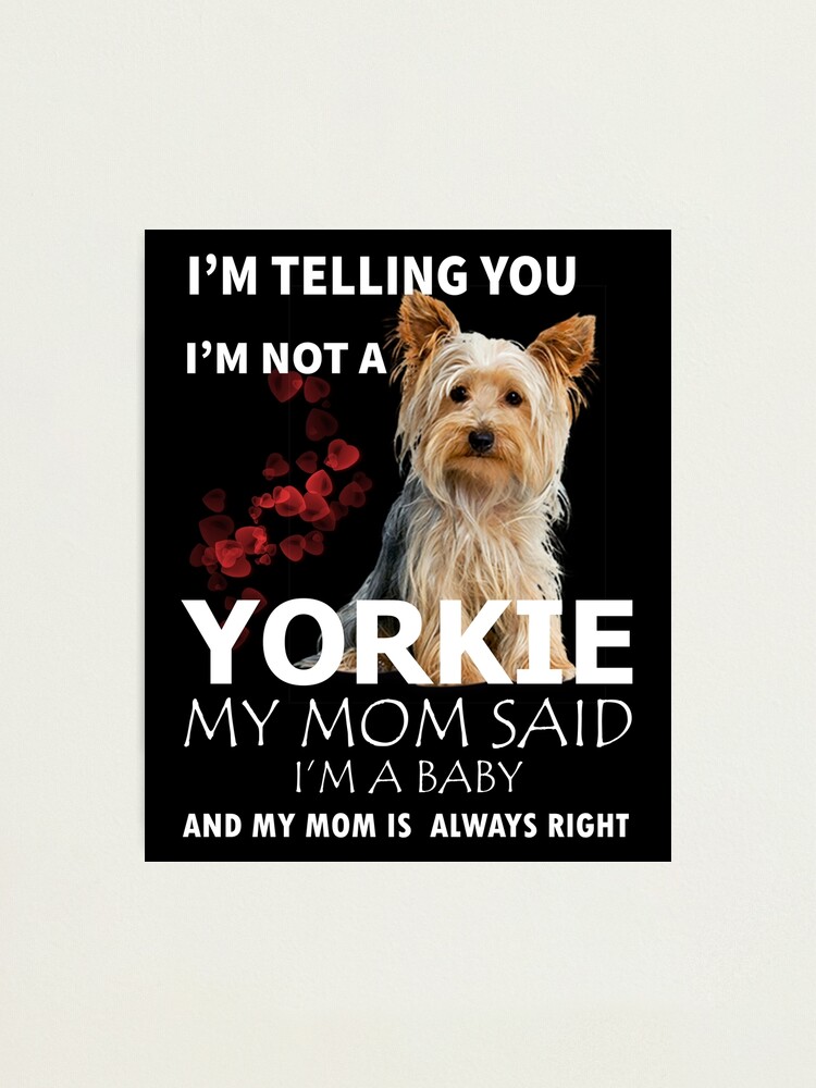 yorkie gifts dog owner