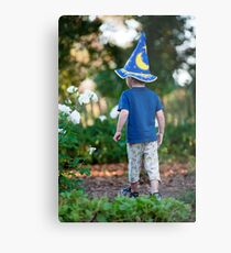 Young wizard Metal Print