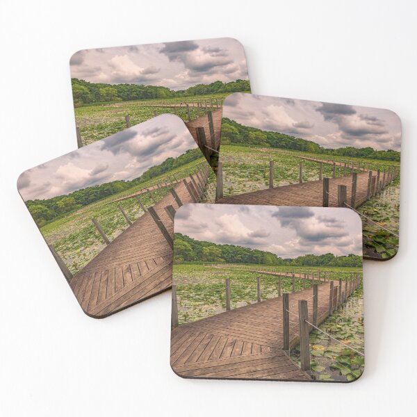 Item preview, Boardwalk across the pond designed and sold by JimGuy.
