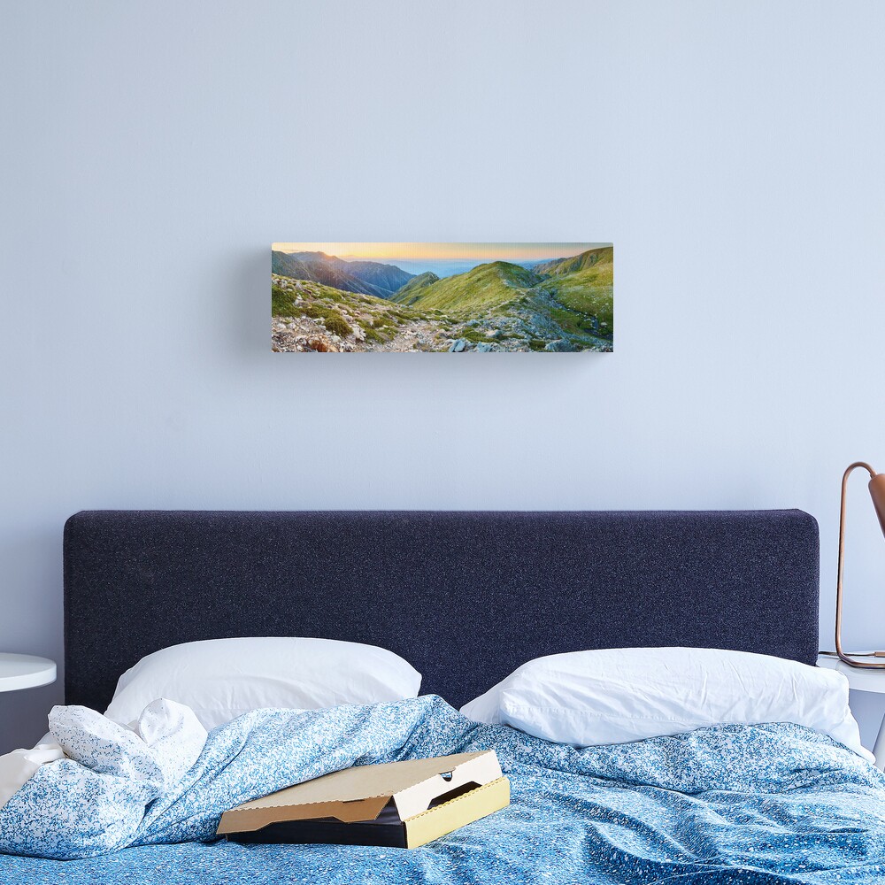The Sentinel, Kosciuszko, New South Wales, Australia Canvas Print