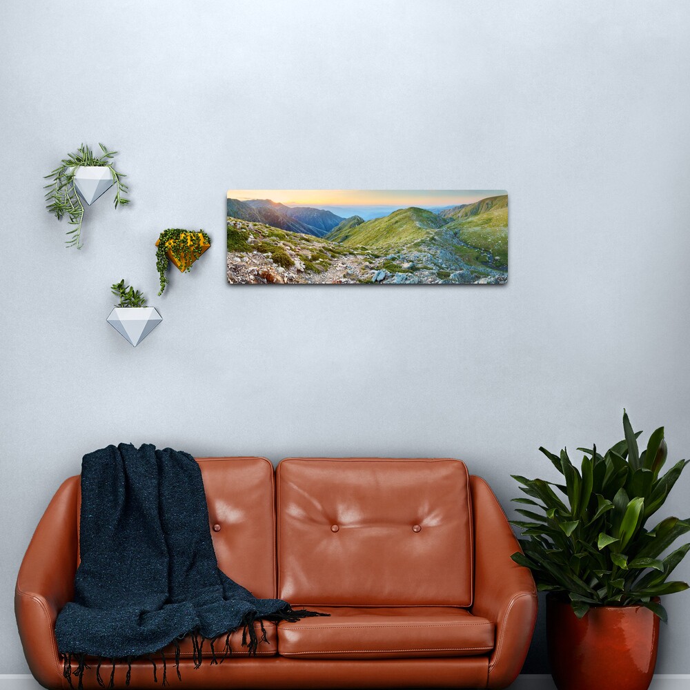 The Sentinel, Kosciuszko, New South Wales, Australia Metal Print