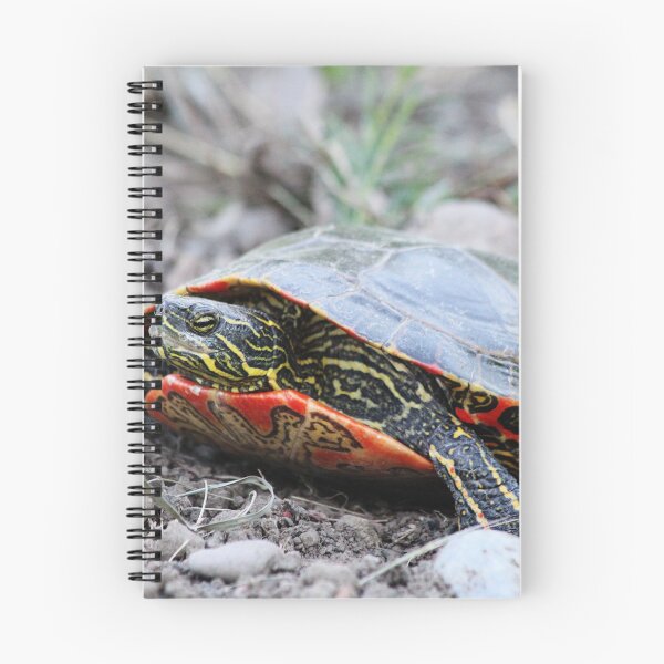 Item preview, The Painted Turtle designed and sold by Alyce Taylor.