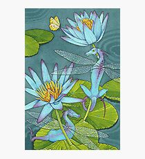 Dragonflies and Lotus Photographic Print
