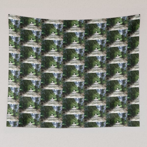 Item preview, Looking Down a Country Road designed and sold by EloiseArt.