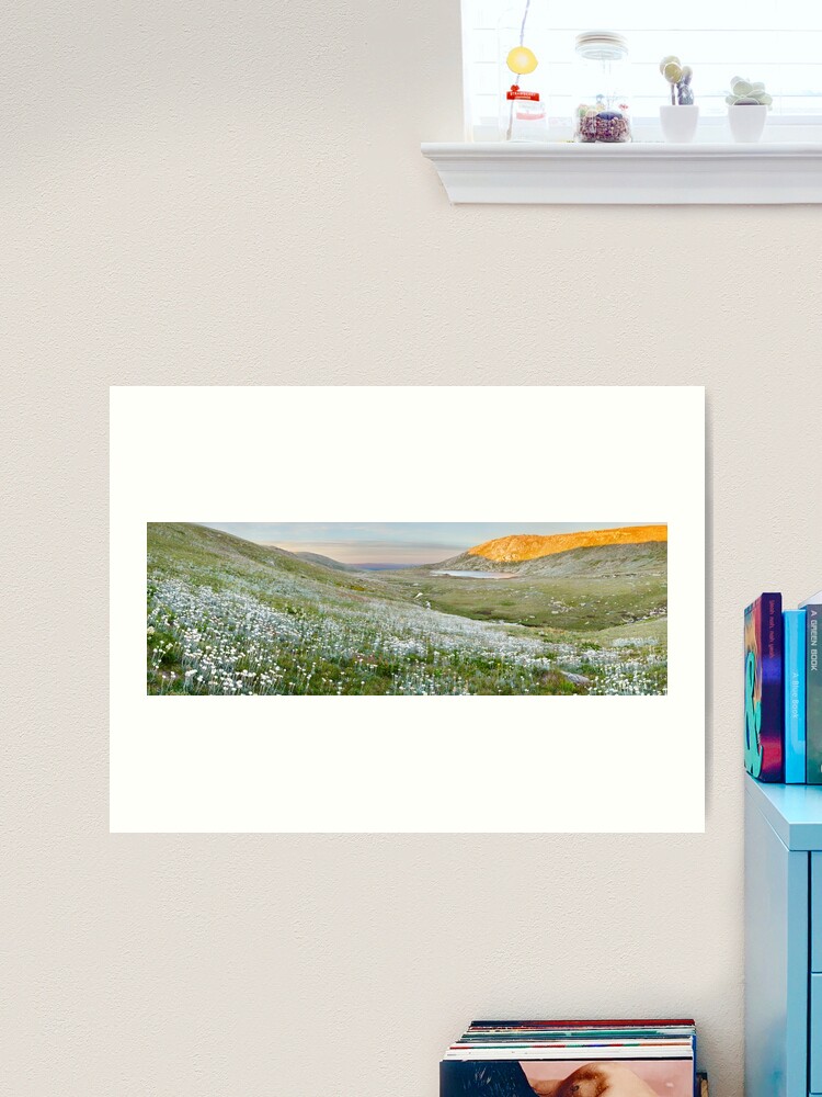 Thumbnail 2 of 3, Art Print, Wildflowers, Lake Cootapatamba, Kosciuszko, New South Wales, Australia designed and sold by Chockstone.