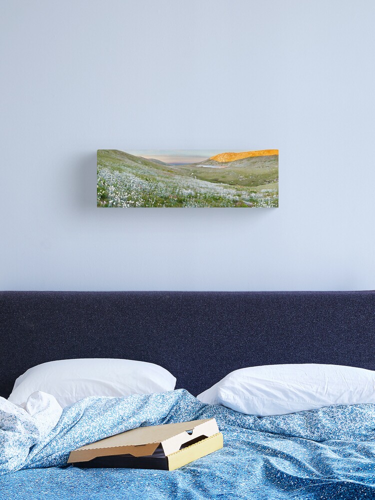 Thumbnail 2 of 3, Canvas Print, Wildflowers, Lake Cootapatamba, Kosciuszko, New South Wales, Australia designed and sold by Chockstone.
