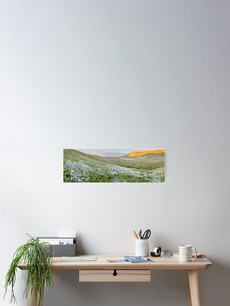 Thumbnail 2 of 3, Poster, Wildflowers, Lake Cootapatamba, Kosciuszko, New South Wales, Australia designed and sold by Chockstone.