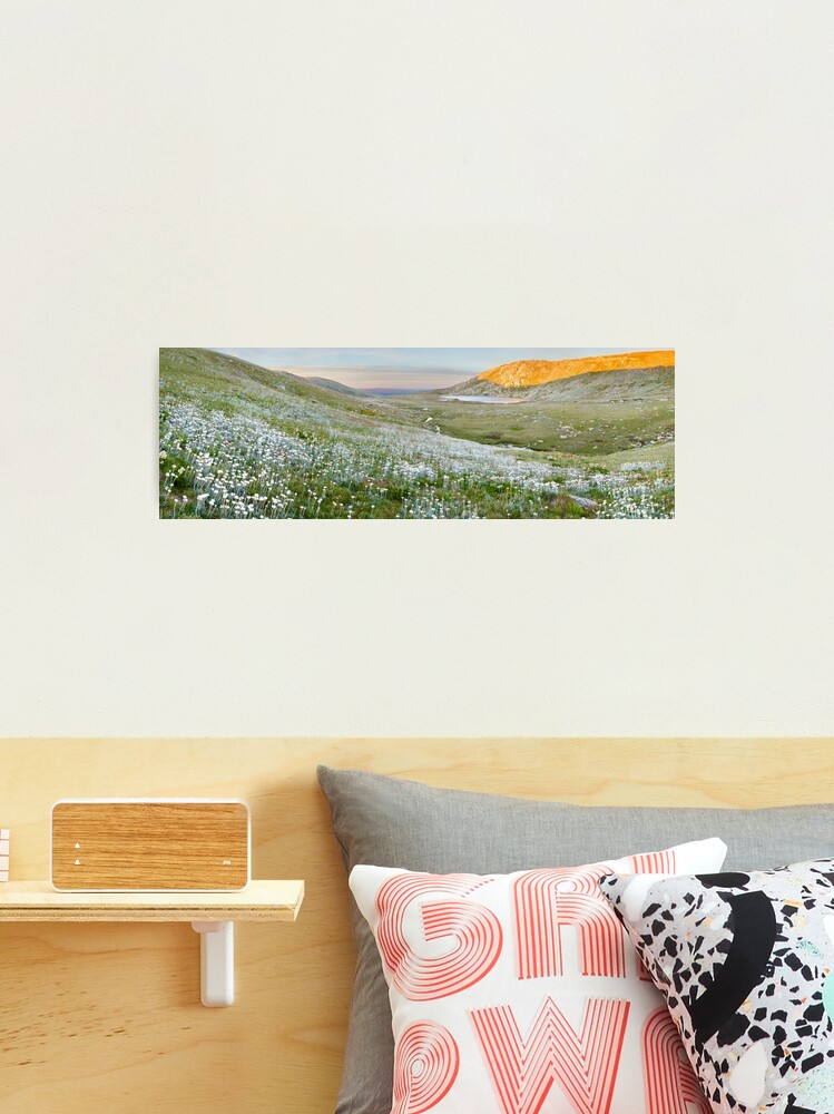Thumbnail 2 of 3, Photographic Print, Wildflowers, Lake Cootapatamba, Kosciuszko, New South Wales, Australia designed and sold by Chockstone.