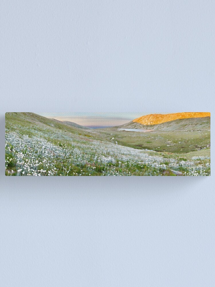 Thumbnail 1 of 3, Canvas Print, Wildflowers, Lake Cootapatamba, Kosciuszko, New South Wales, Australia designed and sold by Chockstone.