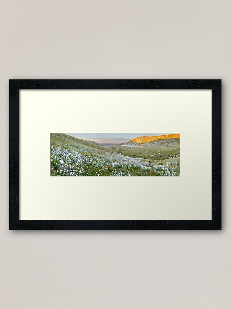 Thumbnail 1 of 7, Framed Art Print, Wildflowers, Lake Cootapatamba, Kosciuszko, New South Wales, Australia designed and sold by Chockstone.