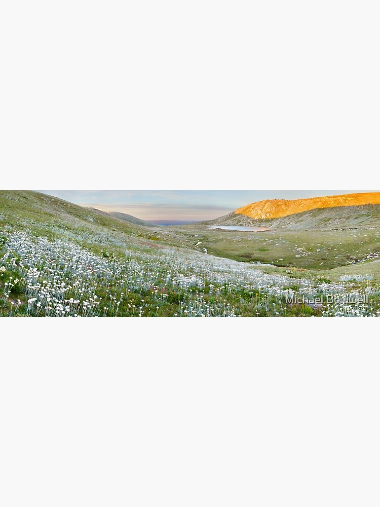 Thumbnail 3 of 3, Art Print, Wildflowers, Lake Cootapatamba, Kosciuszko, New South Wales, Australia designed and sold by Chockstone.