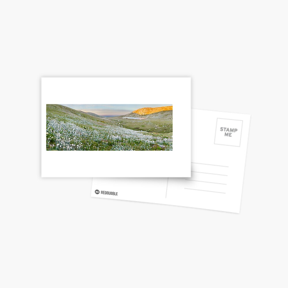 Item preview, Postcard designed and sold by Chockstone.