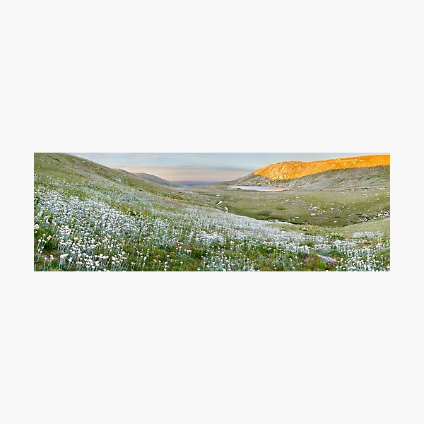 Photographic Print