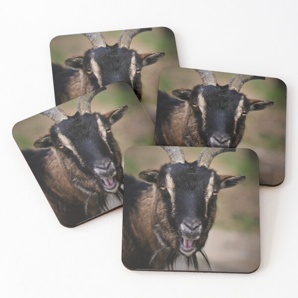 Item preview, Goat, Mecker goat designed and sold by laura-S.