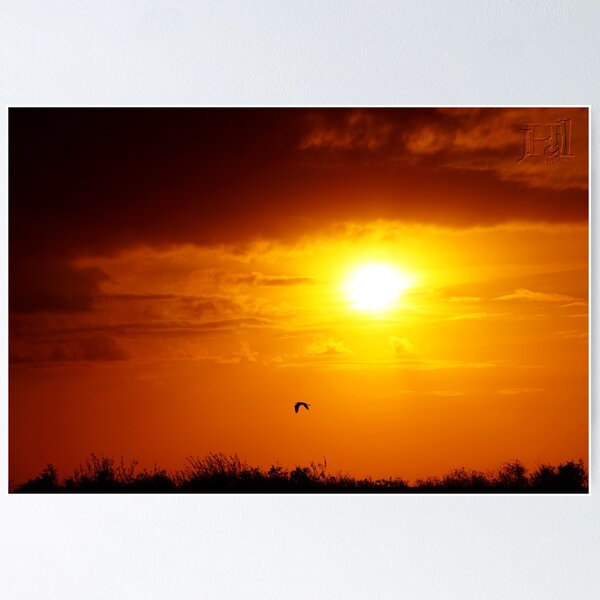 Item preview, Everglades Winter Sunset designed and sold by jrhall19.