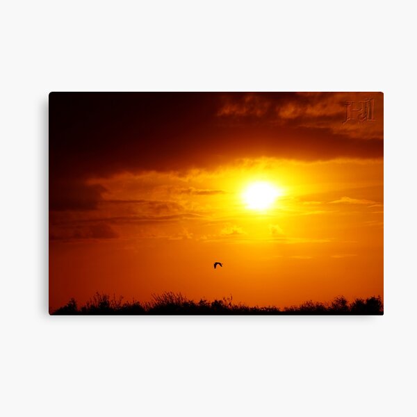 Item preview, Everglades Winter Sunset designed and sold by jrhall19.