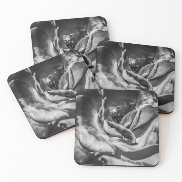 Item preview, blooming rose in black and white designed and sold by Mrvell.