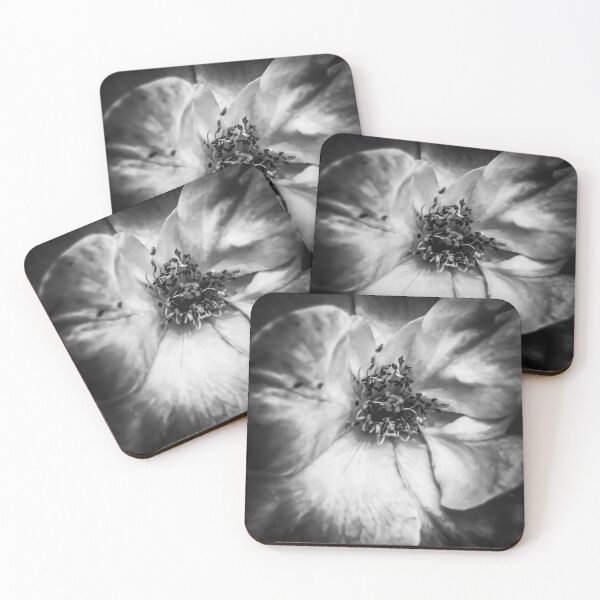Item preview, closeup blooming rose in black and white designed and sold by Mrvell.