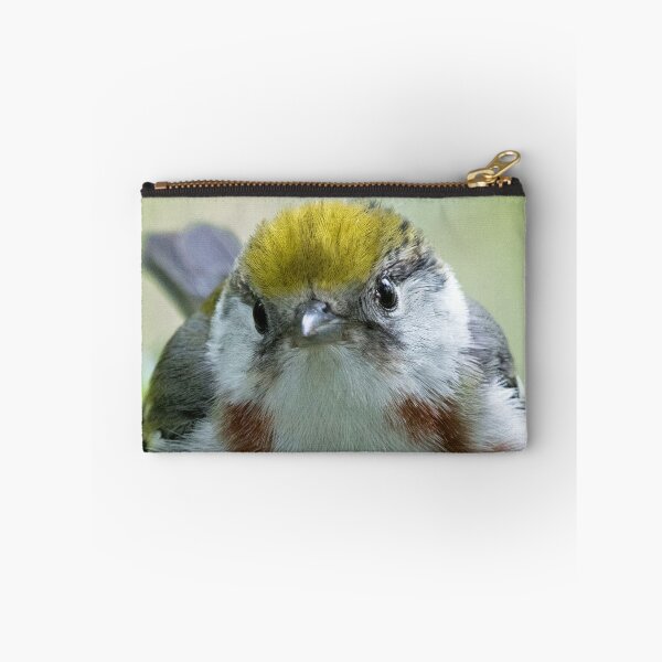 Item preview, Chestnut-sided Warbler designed and sold by WorldDesign.