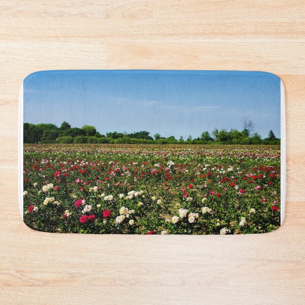 Item preview, Roses abound designed and sold by SRosuphotos.