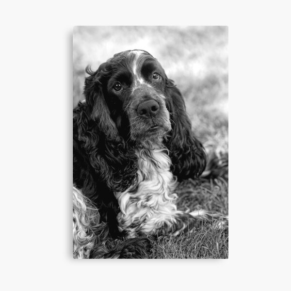 My Boy Canvas Print