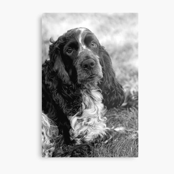 My Boy Metal Print