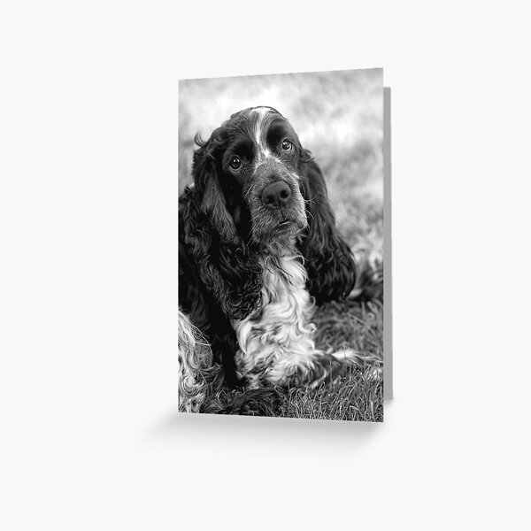 My Boy Greeting Card