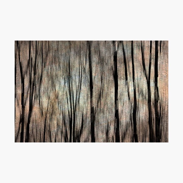 Abstract Photography - Winter Trees Photographic Print