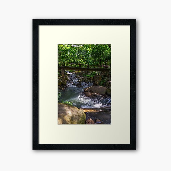 NATURE SCENE Framed Art Print