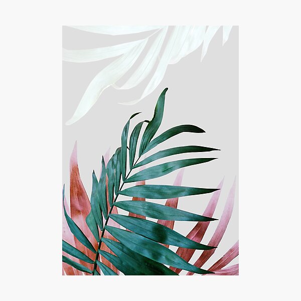 Botanical Plant Leaves in Red and Green Photographic Print