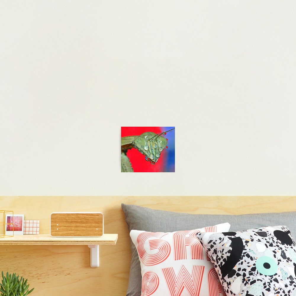 Item preview, Photographic Print designed and sold by robkal.