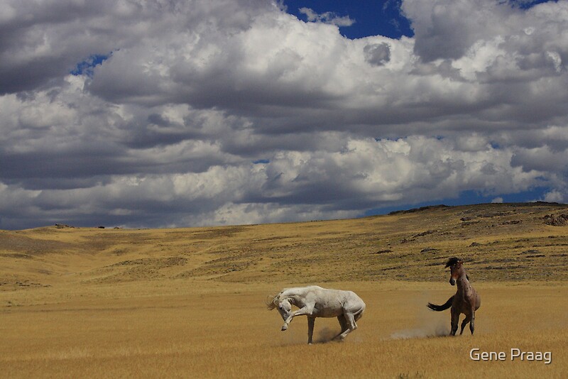 "Standing His Ground" by Gene Praag Redbubble
