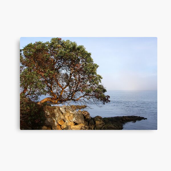 Slivers of Moments Canvas Print