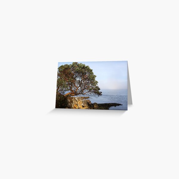 Item preview, Slivers of Moments designed and sold by Terrill Welch.