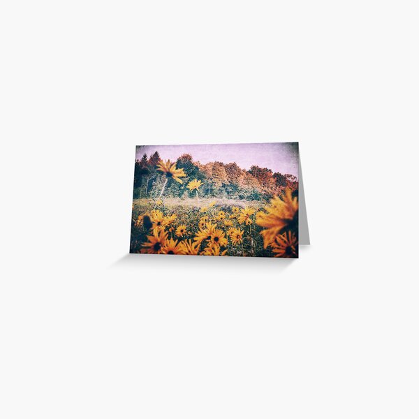Yellow Flowers At Sunrise Greeting Card
