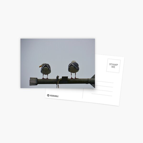 Item preview, Here's Looking at You! designed and sold by lisavonbiela.