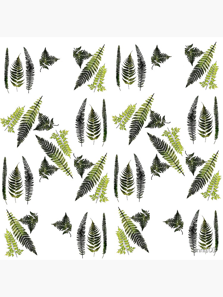 Fronds of ferns by anni103