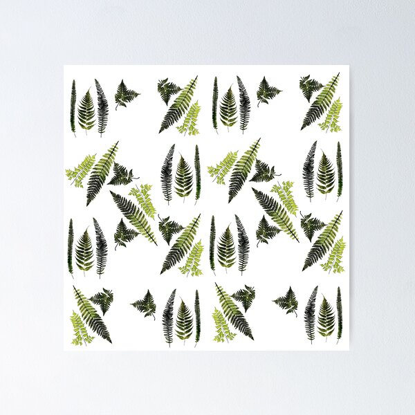 Fronds of ferns Poster