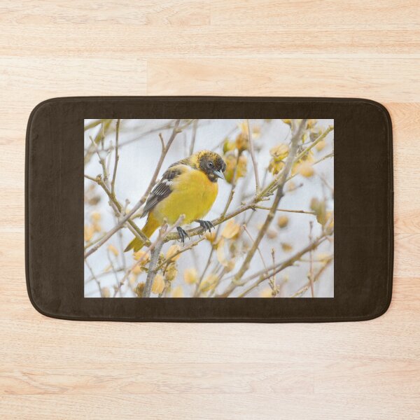 Item preview, Female Oriole designed and sold by Laurie Minor.