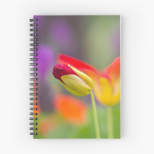 Item preview, Anticipation designed and sold by Jayne Le Mee.